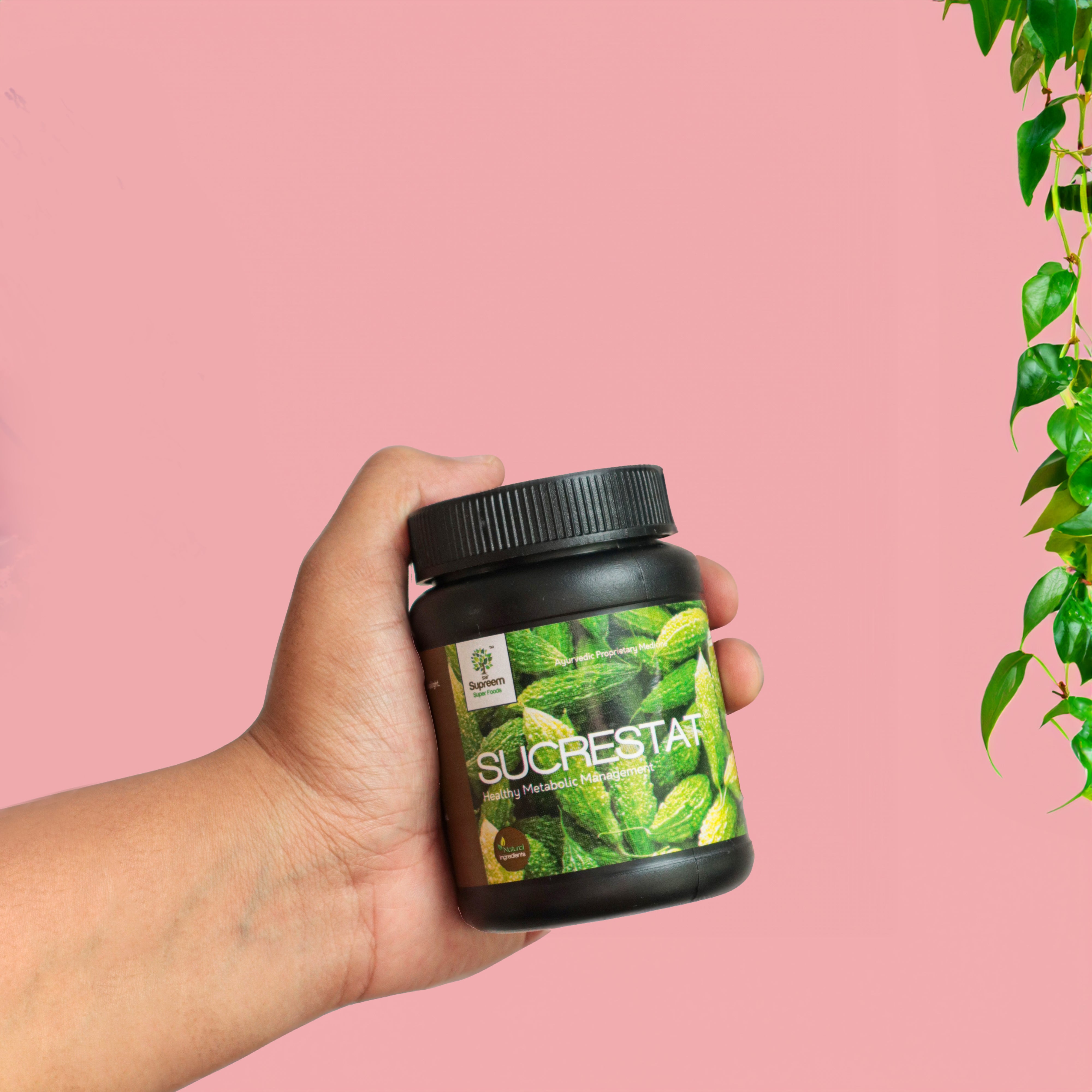 Sucrestat® - Healthy Metabolic Management (Bitter Melon extract) - 60 Capsules (30-day supply).